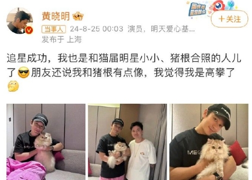 原来黄晓明是给叶珂买猫