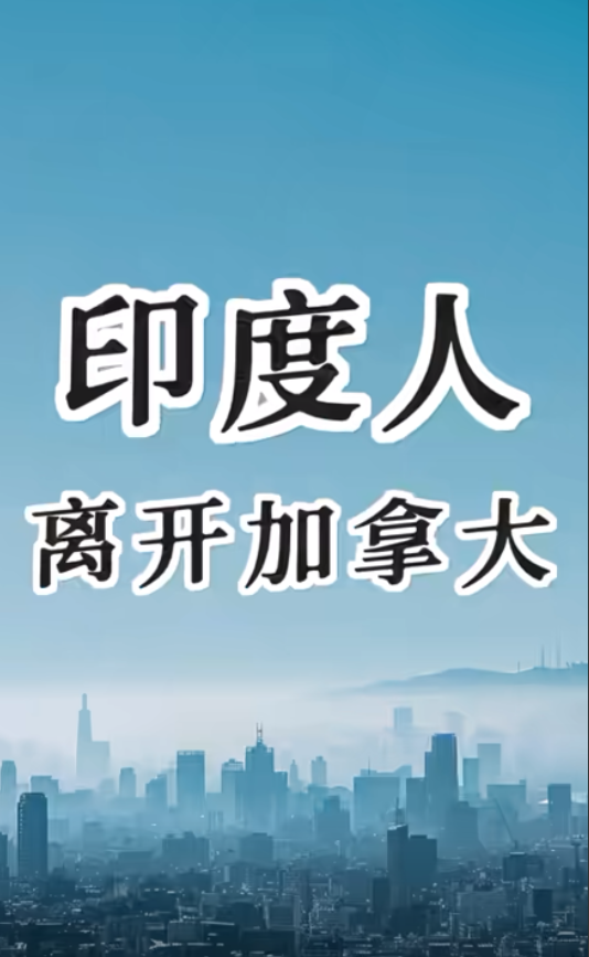 突发消息！

印度人申请加拿大签证通过率从80%狂跌至20%！

高薪印度人都被