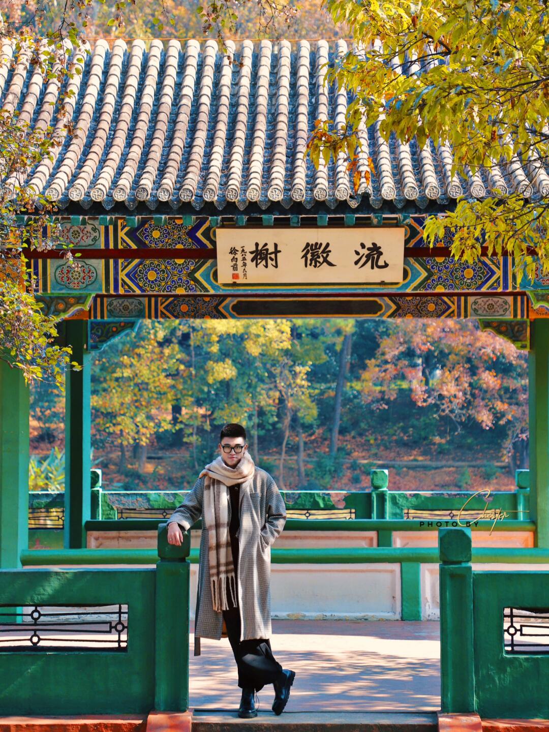 🍂没有哪个城市能在秋天打败南京‼️