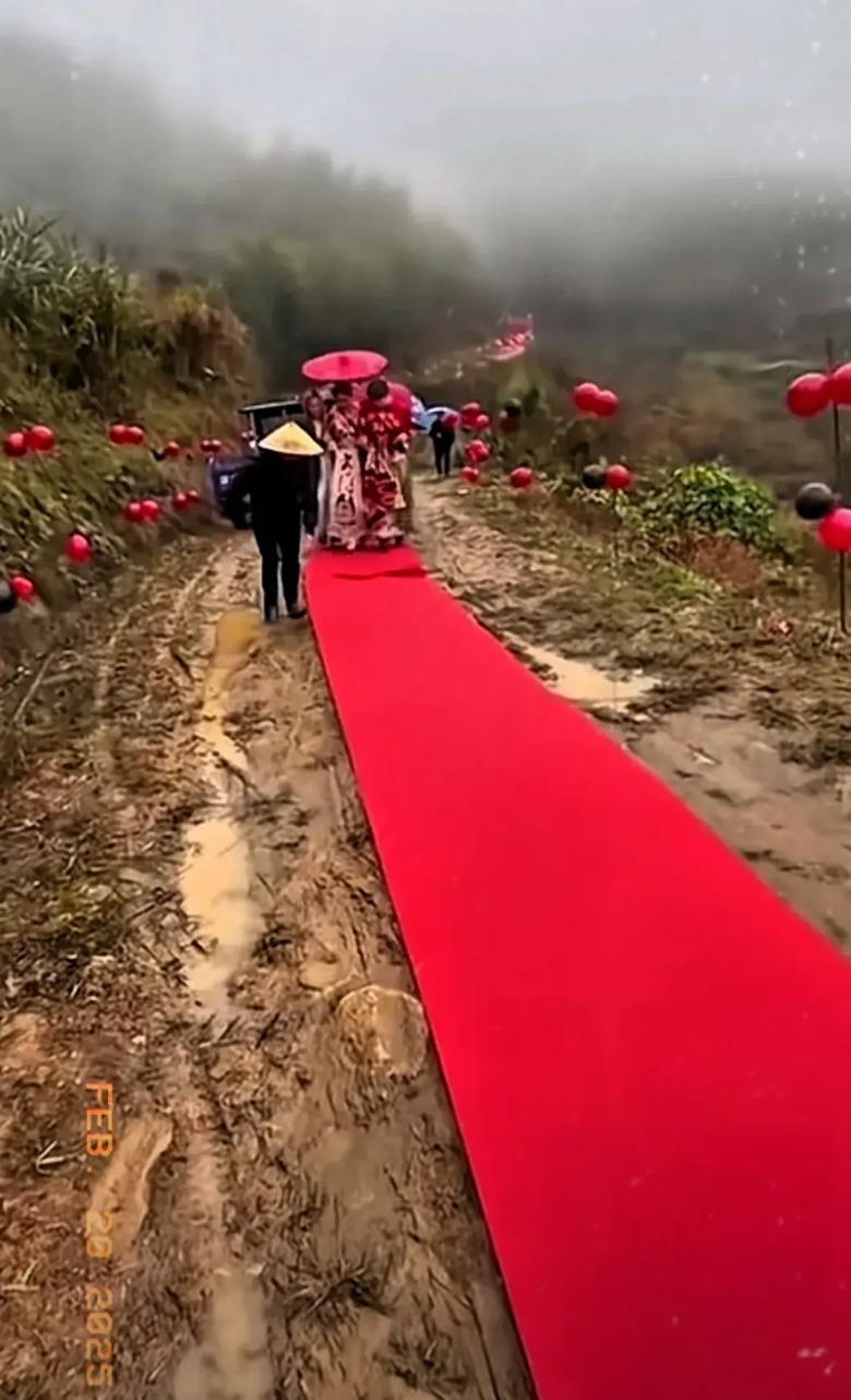 新郎父母为了新娘下车脚不沾泥巴，零时决定铺600多米红地毯迎儿媳到家，让新娘非常