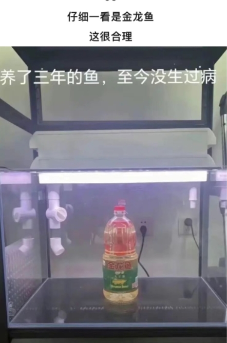 仔细一看是金龙鱼这很合理
