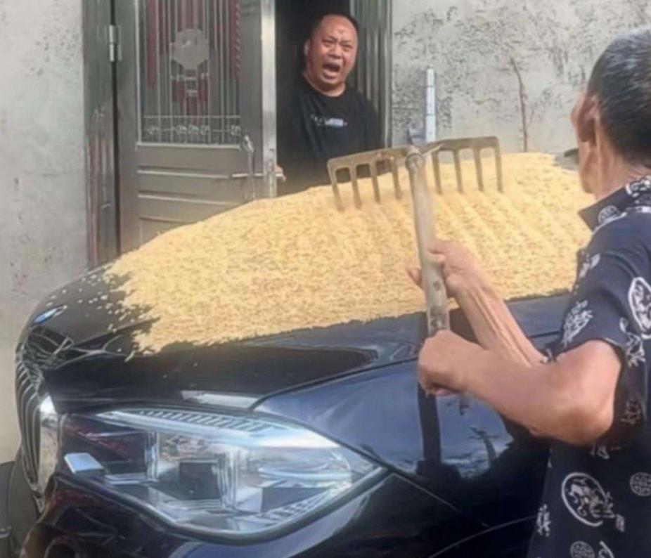 儿子租车回家过年崩溃一幕，老爹说黑色吸热快在车上面晒稻谷