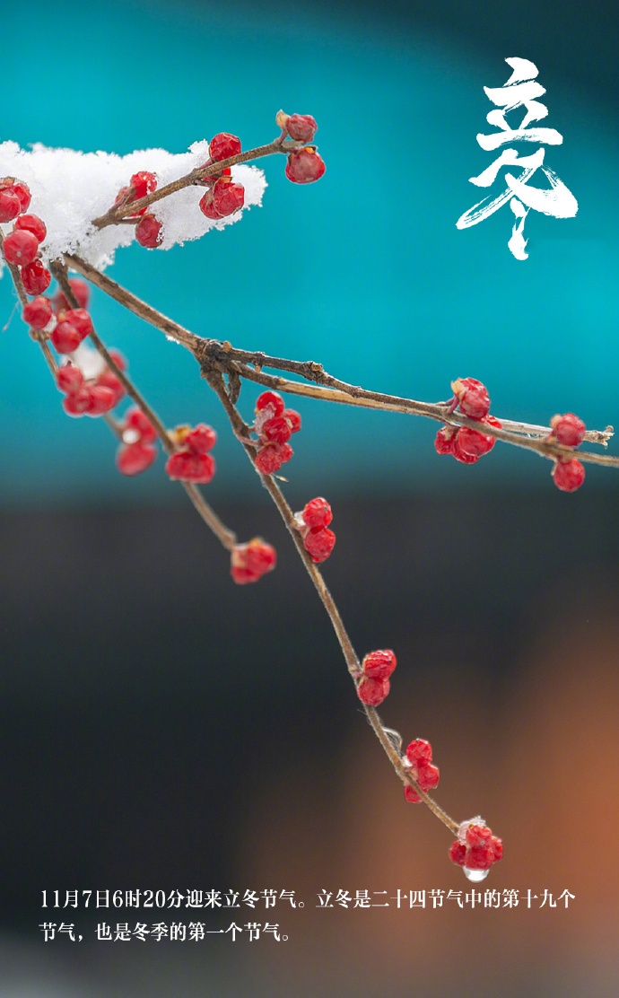 今天是立冬，准备吃点什么？
说是可以吃点补的？立冬进补，能打老虎？
1、立冬意味