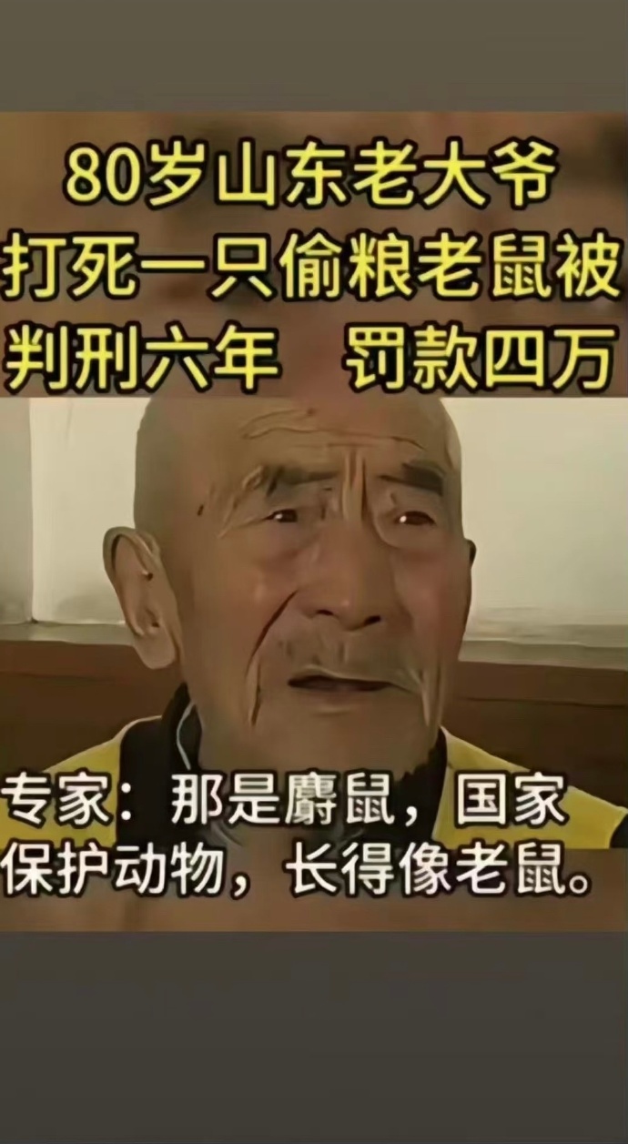 听说这是一件真实的事情！ ​​​