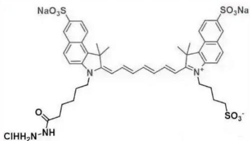 Sulfo-ICG Hydrazide可用于标记和追踪细胞