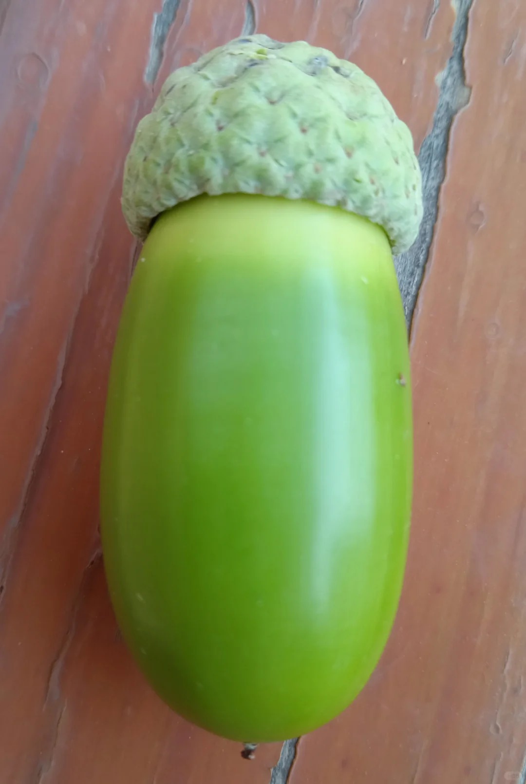 大家快看看有认识这个的吗？