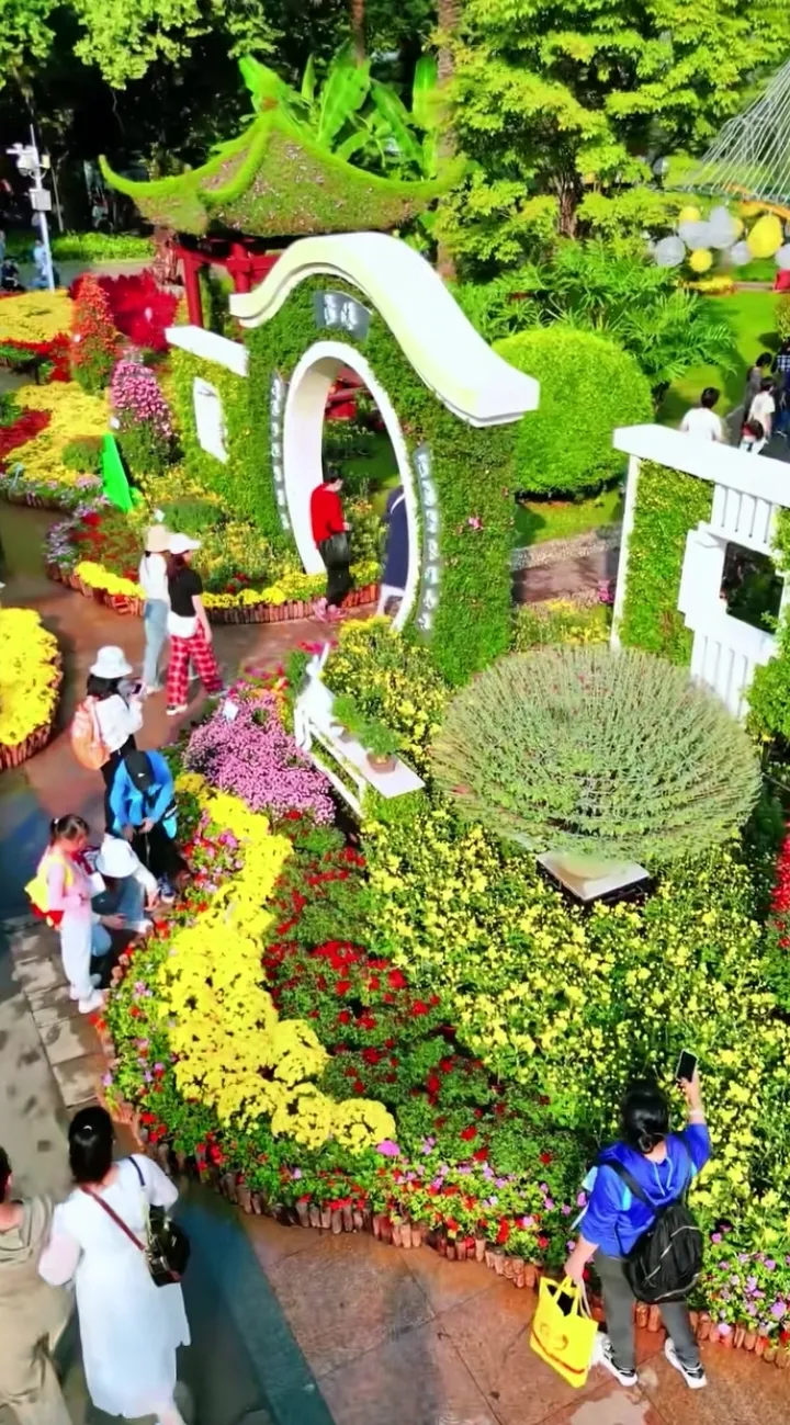 广州文化公园第65届菊展，今日盛大开幕！