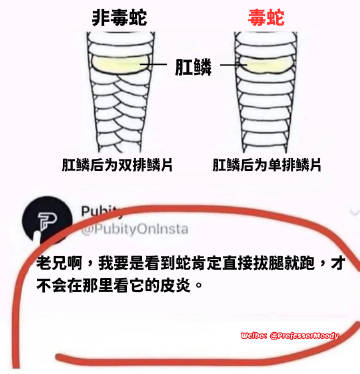 谢谢你的冷知识啊