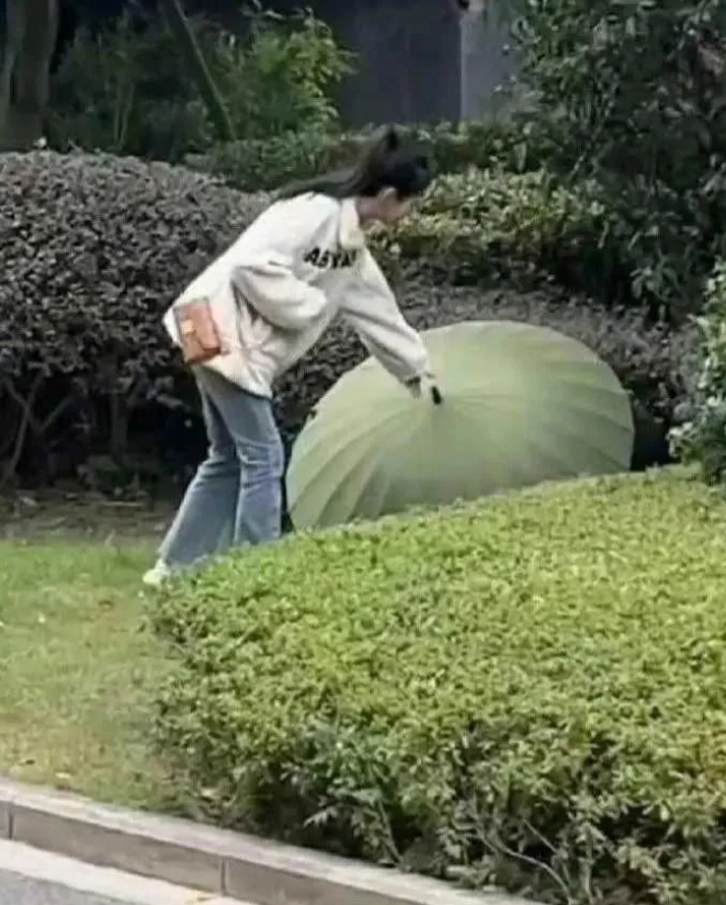 好奇心害死猫，这就尴尬了