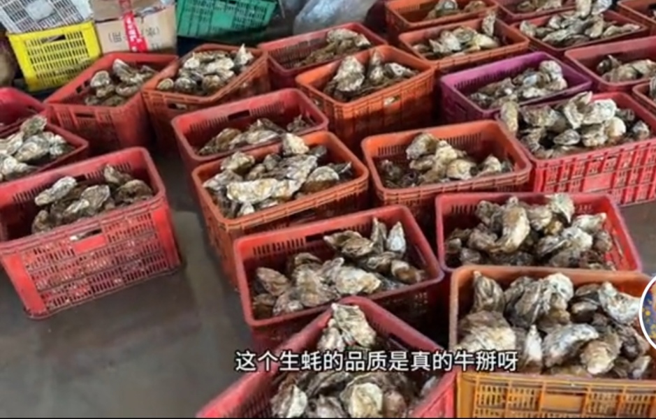 杨二狗不再给二婚妻子零用钱