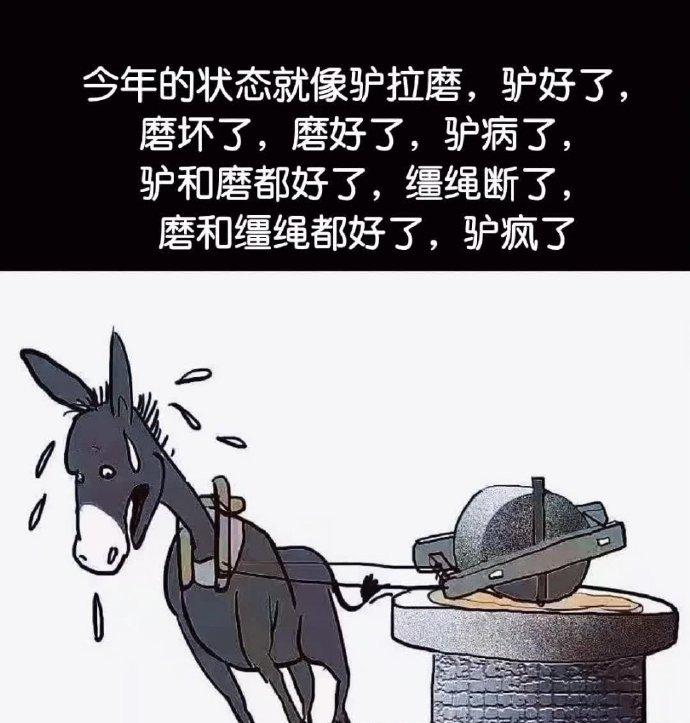 往年的状况…
