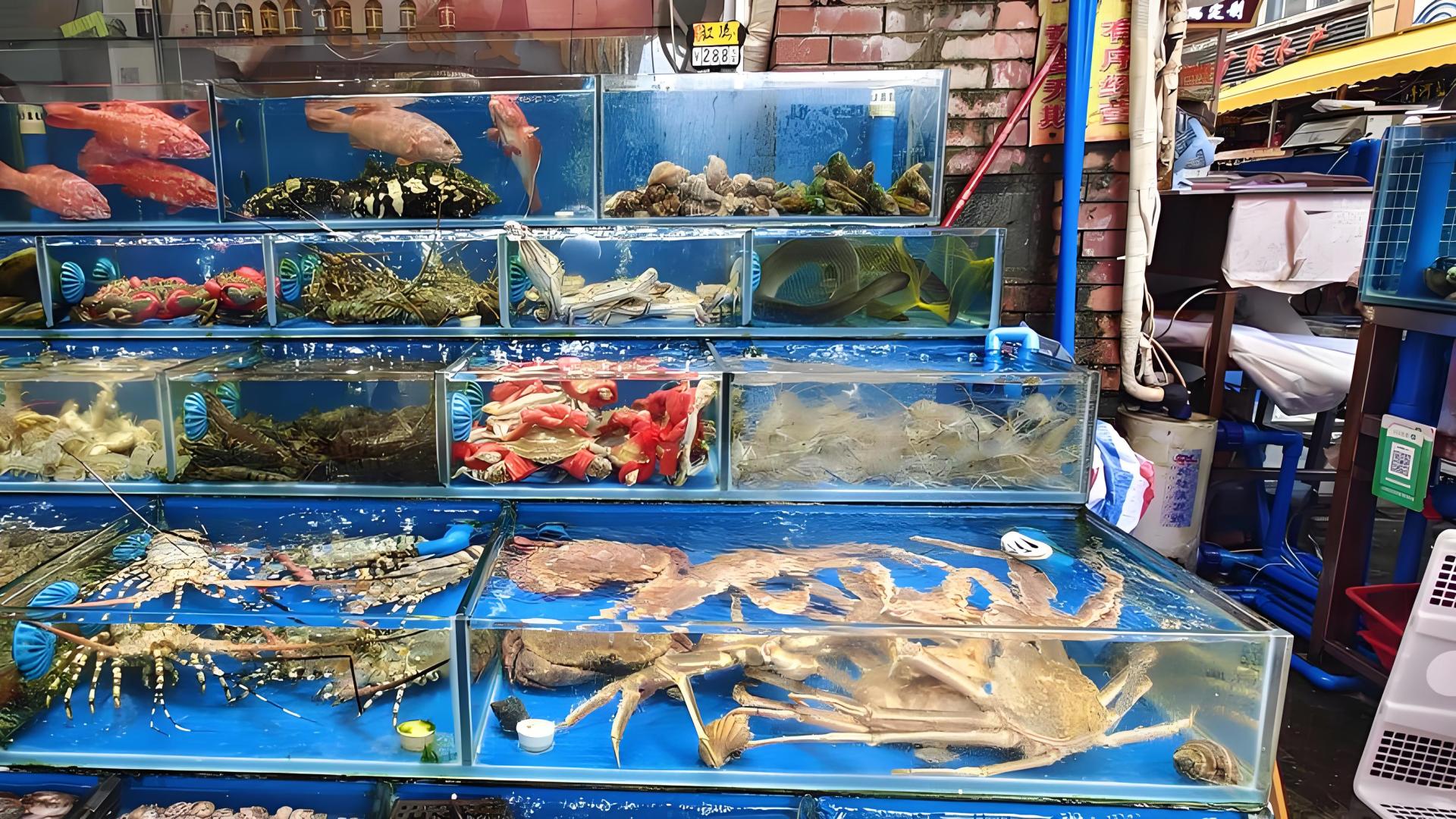 进口水产品需要提供哪些文件和资料呢