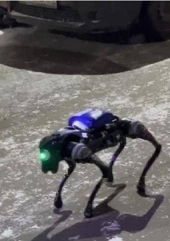 莫斯科警方拦截了一只运送毒品的机器狗

据《共青团真理报》报道，在莫斯科的佩恰特