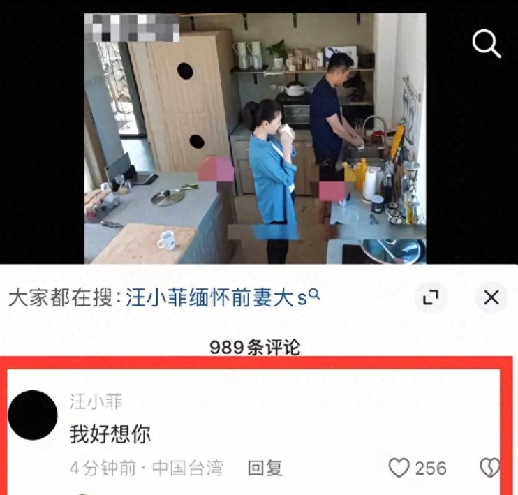 就在今天，有网友发现汪小菲在他和大 S 一起参加的综艺《幸福三重奏》的视频下面留