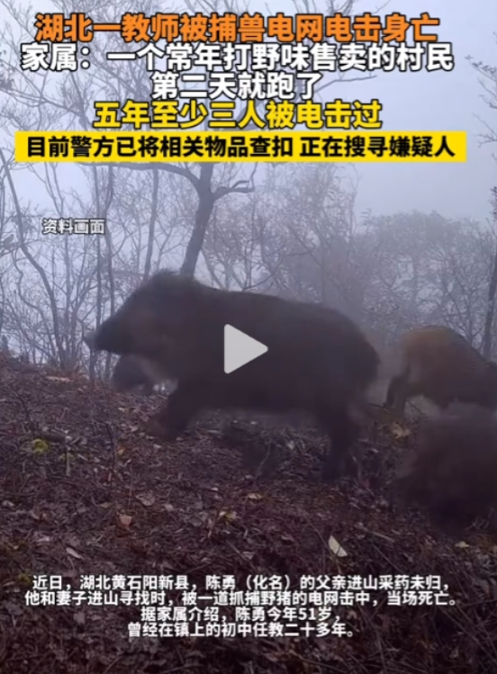 2024年12月，男子和妻子在夜里进山，去找采药未归的老父亲，走到小树旁，男子突