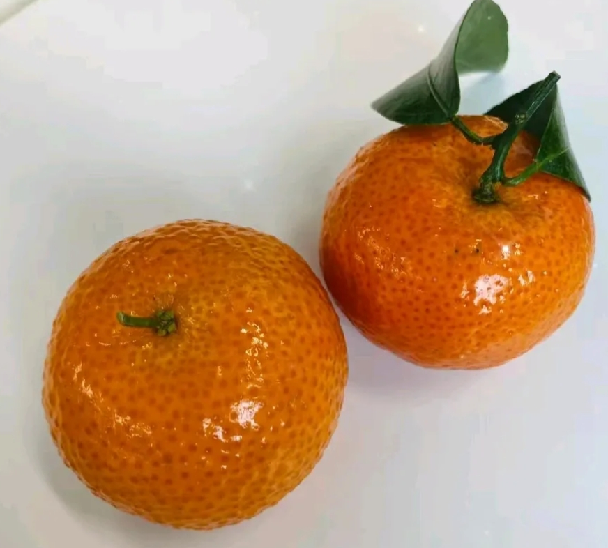 你来评评理，放在公共楼道的菜丢了怨谁？
中午，邻居在群里问谁把她家放在步行梯的菜