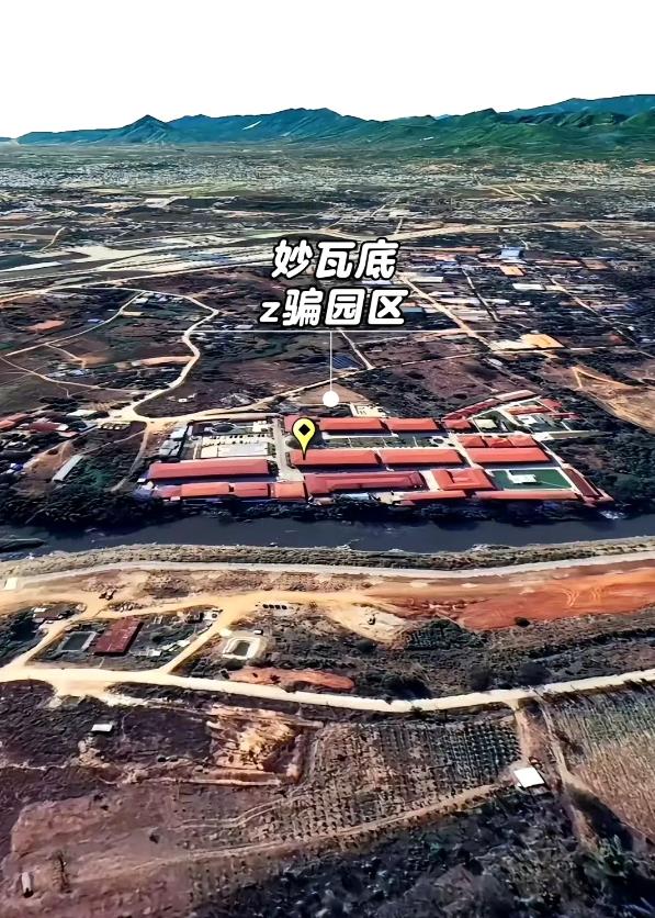 东南亚诈骗园区老板，最不敢骗的就是北京人。总体来说北上广深的人，他们都不敢碰。因