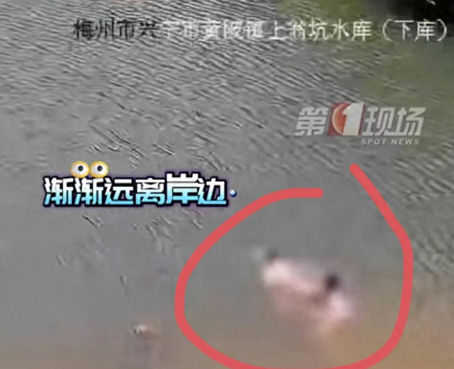 面对这个发生在广东梅州兴宁市黄陂镇上翁坑水库的悲剧，人们的心情无疑是沉重的。两个