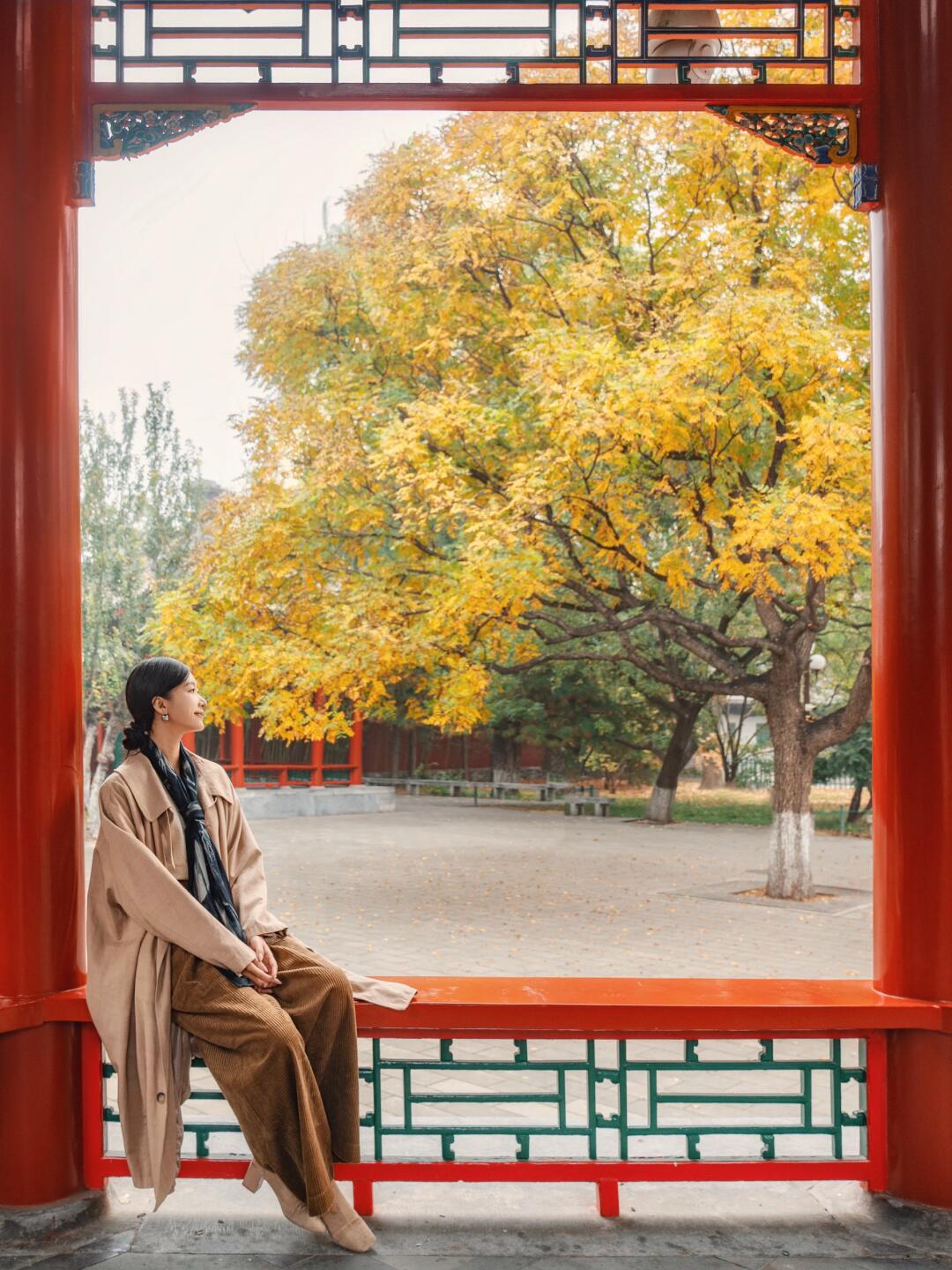 总要来趟北京欣赏北平之秋吧｜