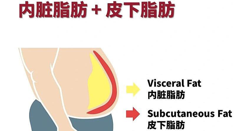 6个小技巧，让你轻松减掉大肚子，减掉内脏脂肪