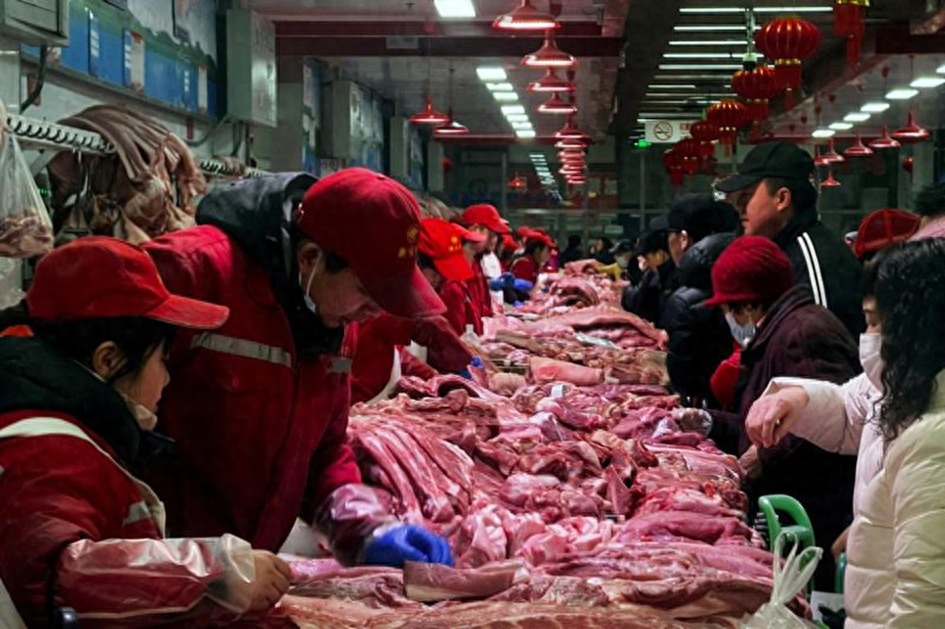 中国开始反击了，德国坐立难安，紧急上门要给华一个交代。在欧盟对华电动汽车开出了高