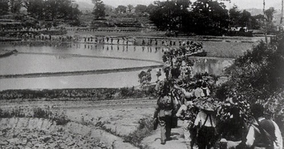 抗战中，两万日军突袭新四军第5师，李先念率部突围，即将冲出包围圈时，后面一阵枪响