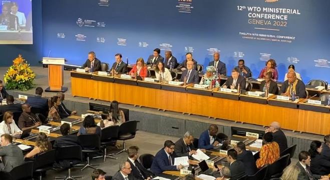 欧盟在WTO状告白兰地被征税，中方回应太解气了！

11月25日，欧盟在WTO告