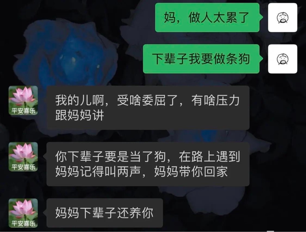 来自妈妈的爱