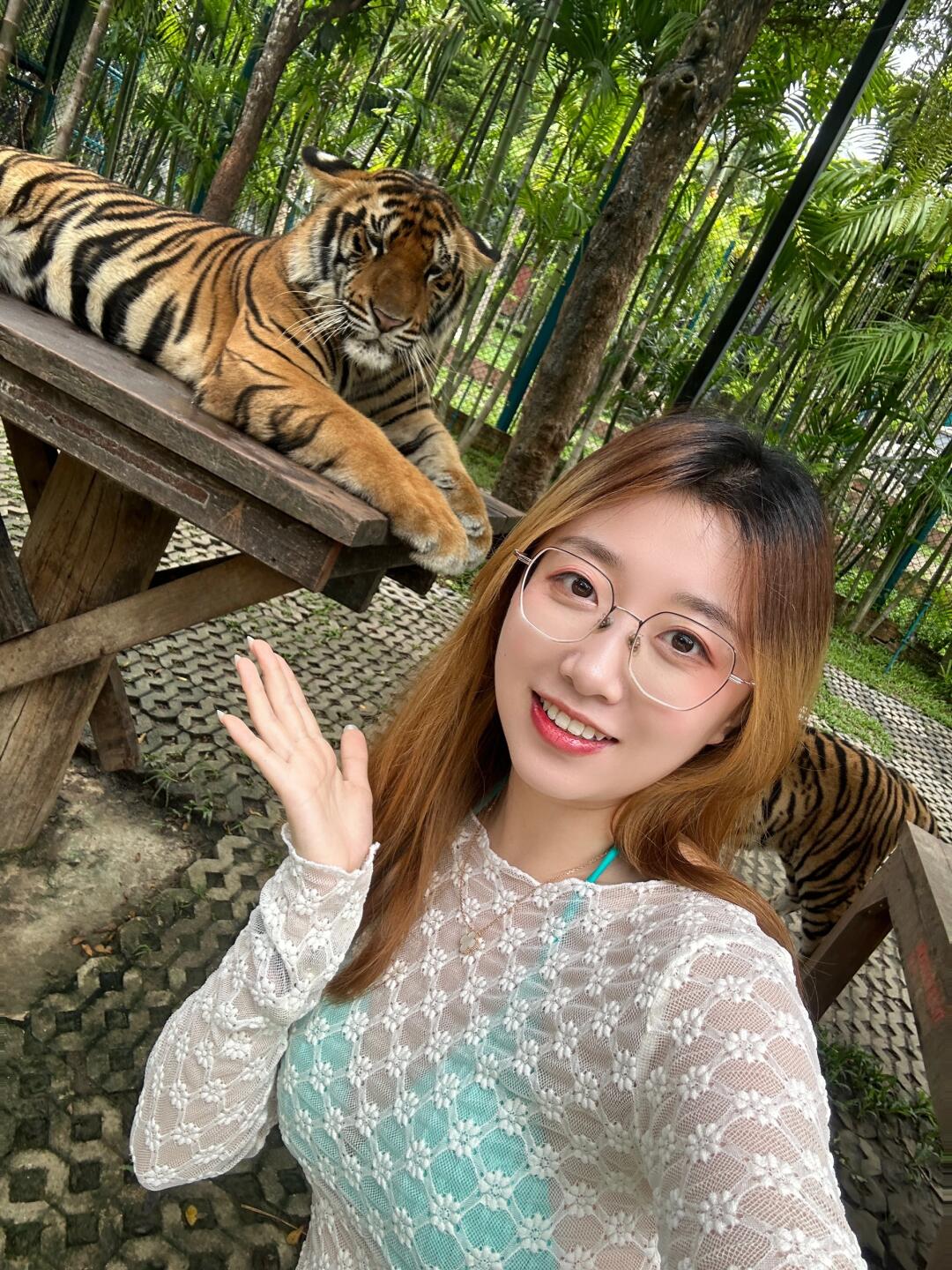 左滑看我和老虎贴贴🐯
