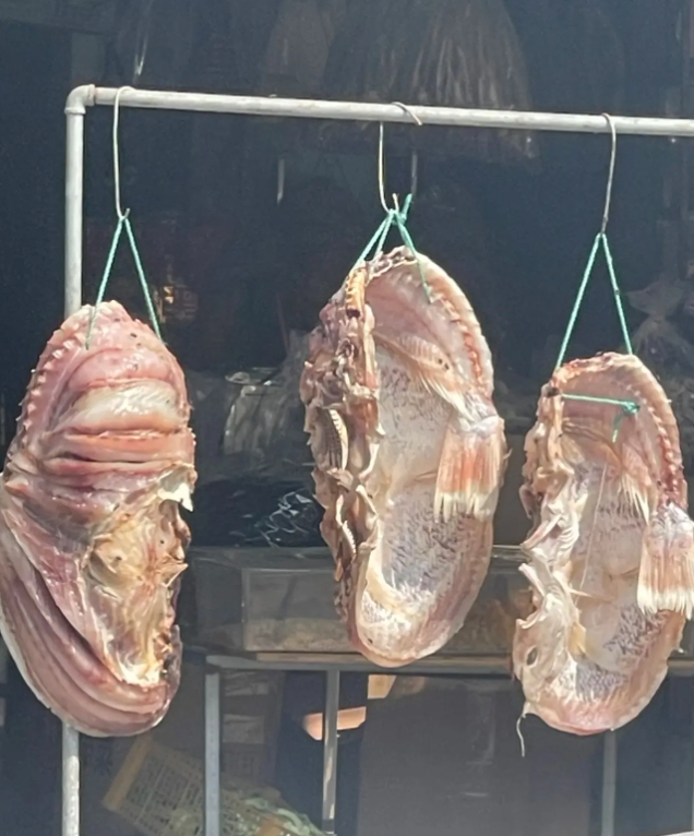 吃完饭路过一门店看见的，好吓人！这个是什么，有网友知道不？