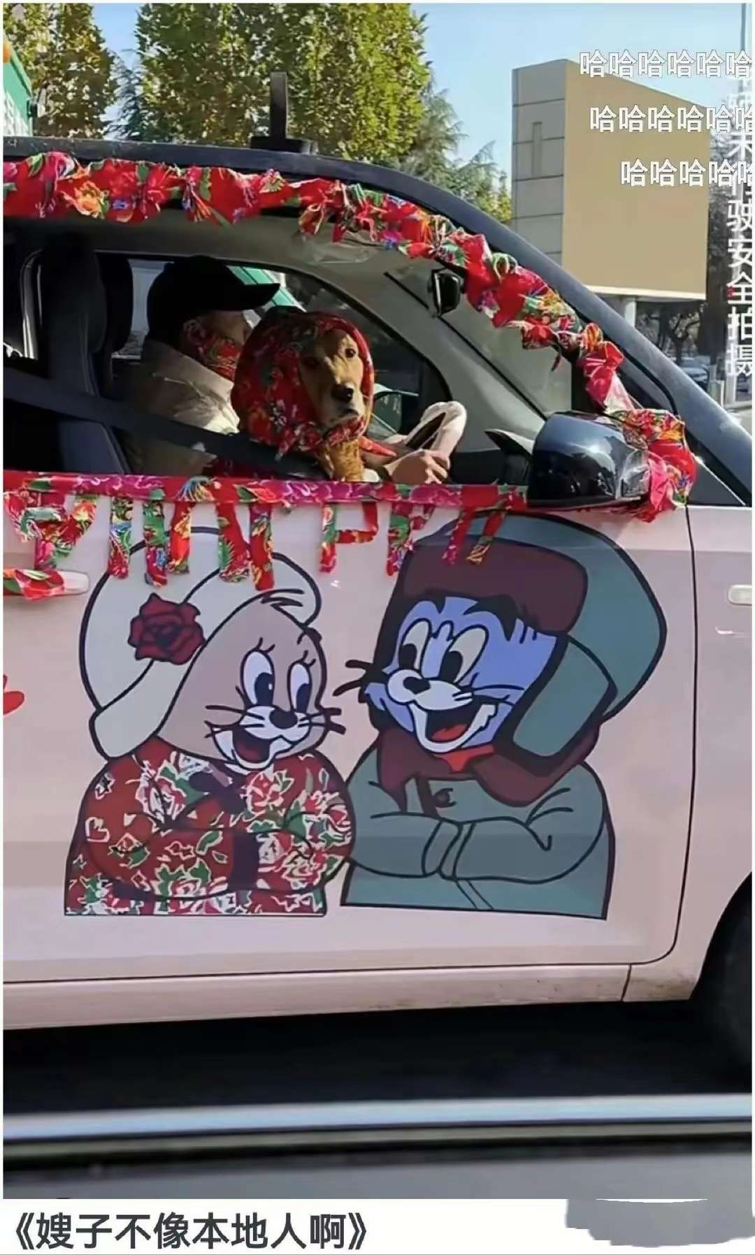 嫂子的确不像本地人