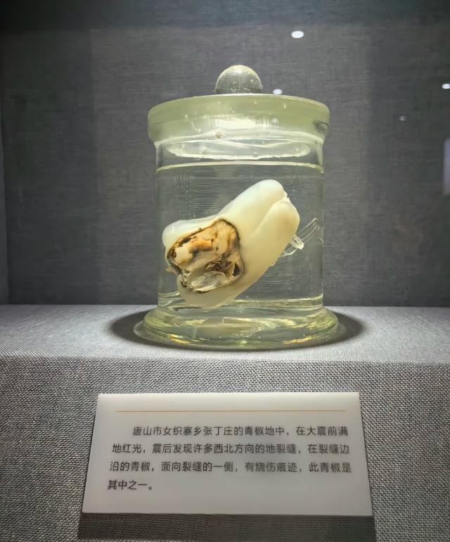 大地震的恐怖😱，远超我们的想象