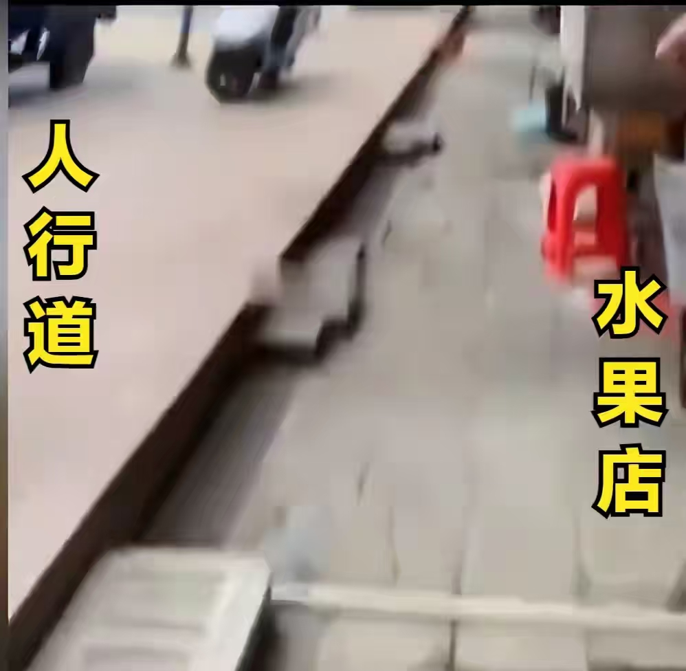#店主不在城管将多筐水果扔上执法车#执法也必须走流程，不告知不劝导不出通知，城管