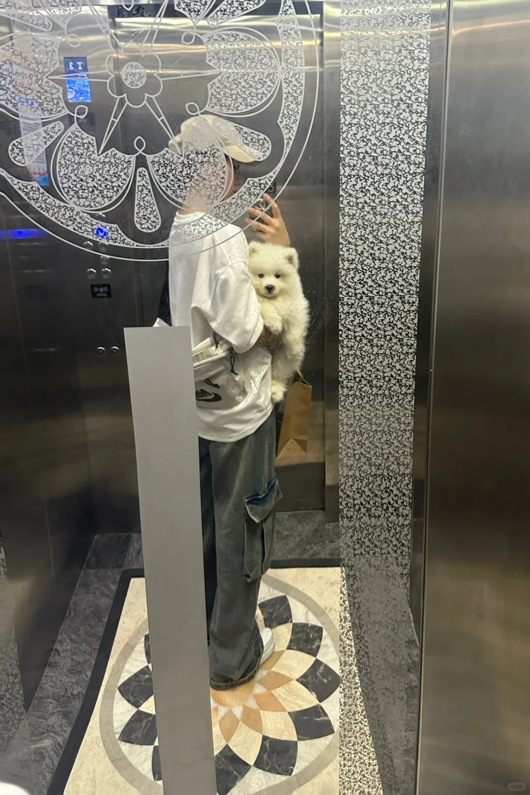 谁家的耶耶。狗子是这样子睡的😂