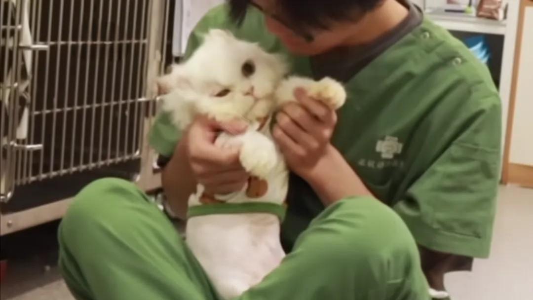猫咪治疗1年多不见好，主人哭着安乐它却被小哥拦住：以后我照顾