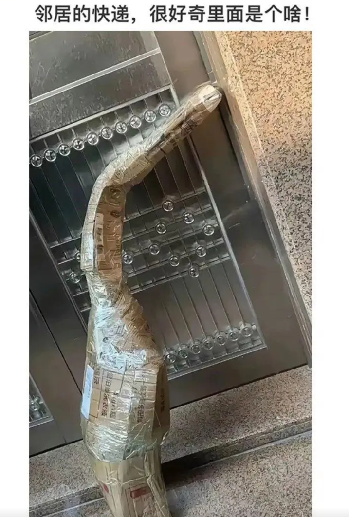 这会是什么快递?