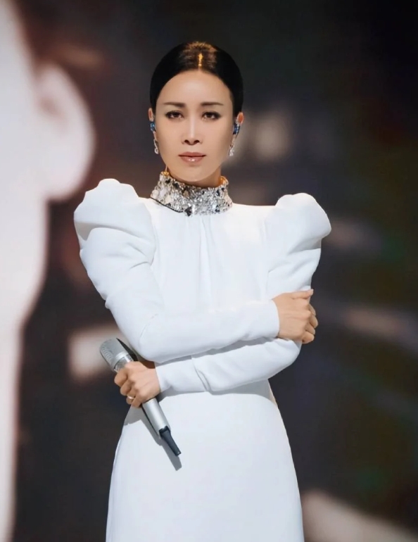 那英夺冠之夜：音乐盛宴中的璀璨星光