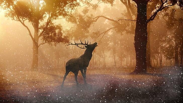 想万物和谐，必须要杜绝人类最愚蠢的行为！