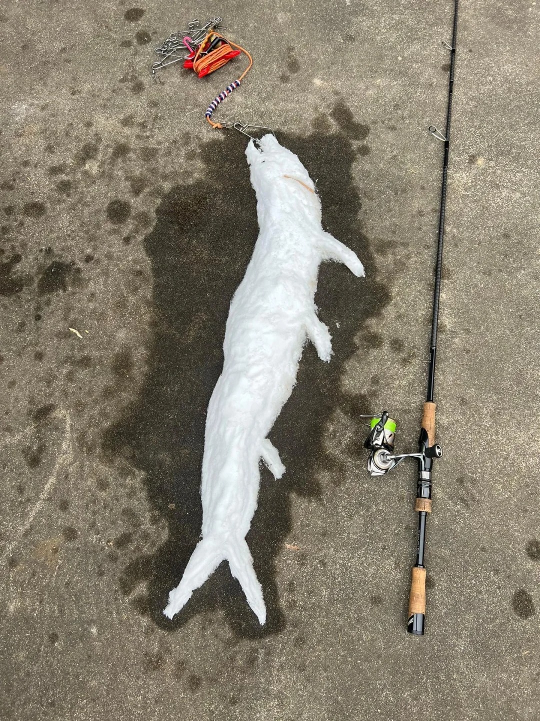 感谢老天今年给我的第一条翘嘴