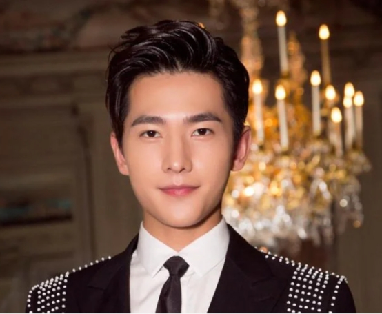 杨洋：从舞蹈到荧幕的华丽转身