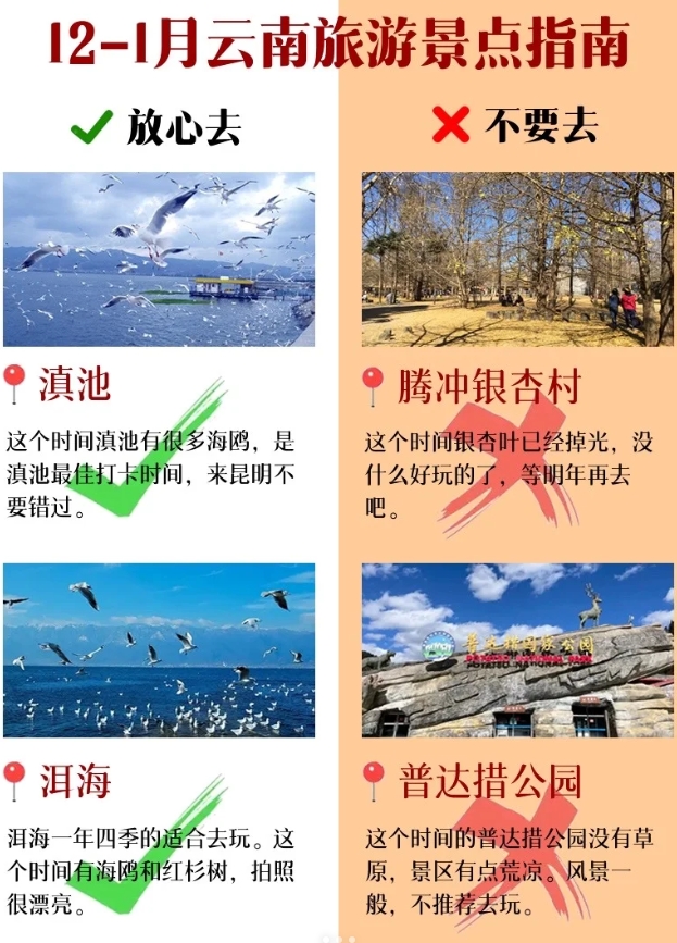 云南旅游景点避坑指南