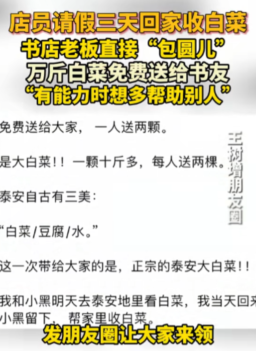 山东，男子请假回老家收白菜，不料，菜贩子收购价才1毛2一斤！老板得知后，直接将男