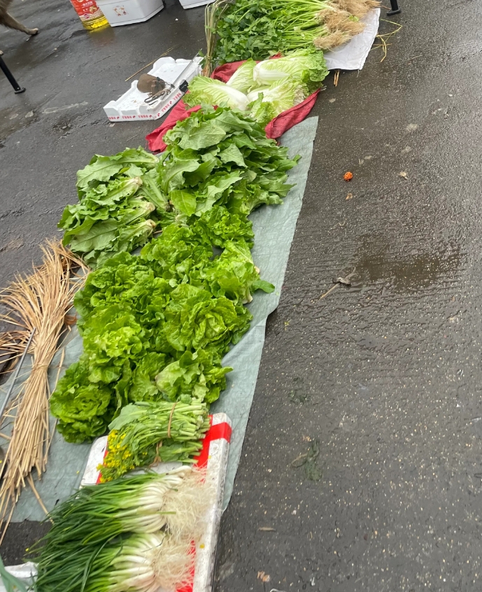 这估计是把稻草的作用
发挥到了极致
稻草当肥料大家应该都知道
但是稻草用来捆蔬菜