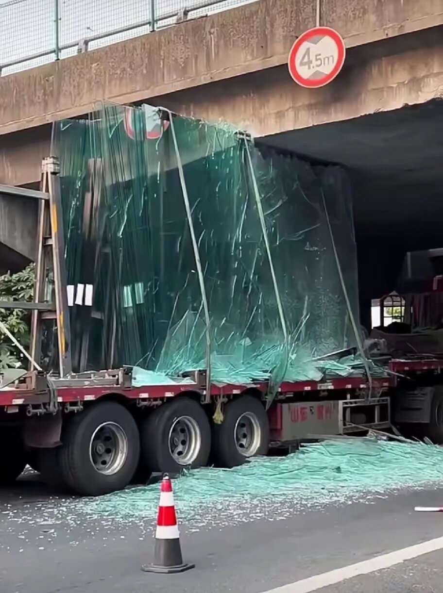 损失巨大，血本无归！