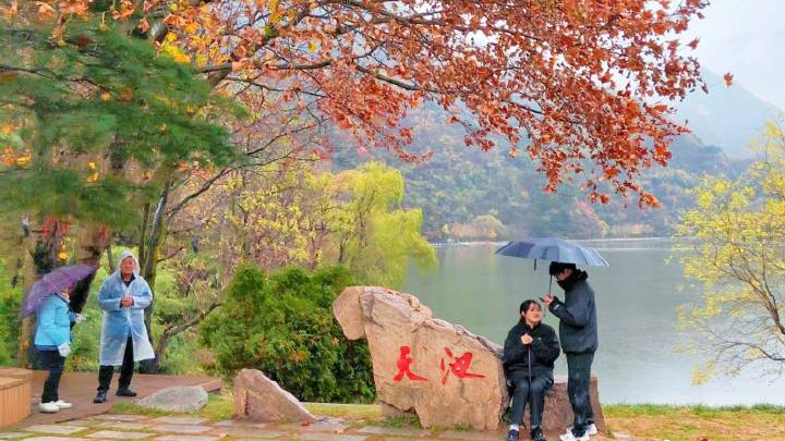 终南初雪，翠华醉美，枫红雪飘，如梦似幻