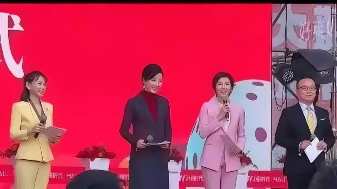 不明白为什么要从央视离职，  去河北一个小县城去商演？