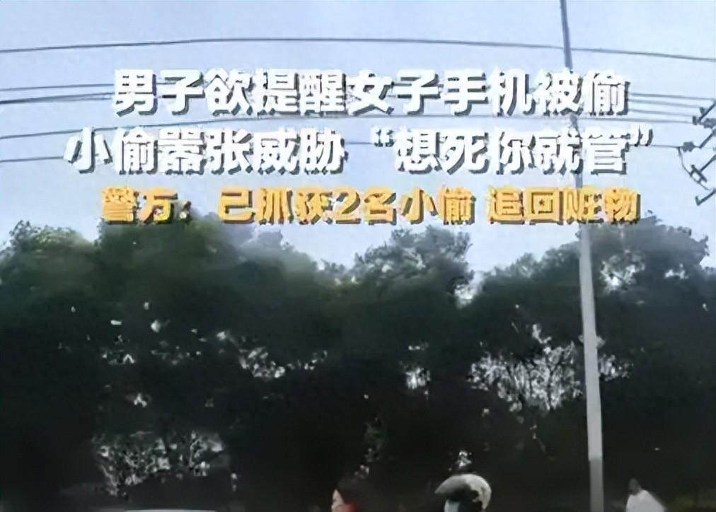 抓到了，抓到了！那两个偷手机的贼终于被警察们给逮住了！

这事儿发生在陕西西安。
