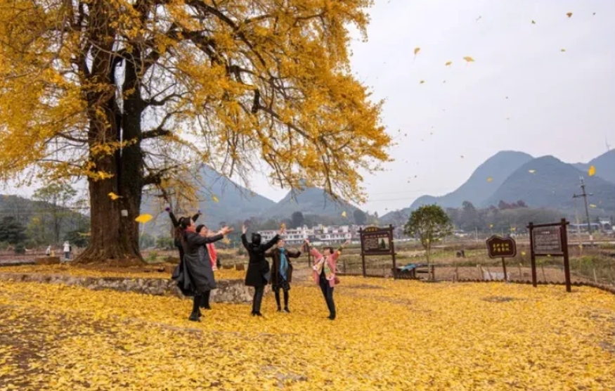 我公司的女会计刚四十岁，去年离的婚，别人给她介绍个外地的对象，两人谈半年了。
前