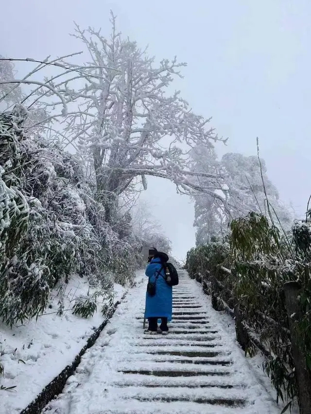 独游峨眉山失联女大学生遗体被找到，敬畏生命，警钟长鸣！



此前报道，2024