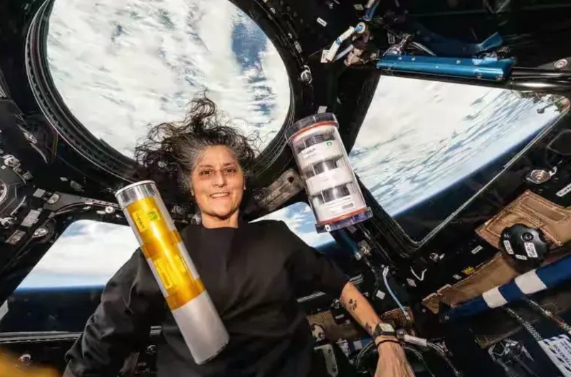 美国历史上最大的丑闻！苦尽甘来！美国2名宇航员廉姆斯与威尔莫尔在太空呆的时间差8